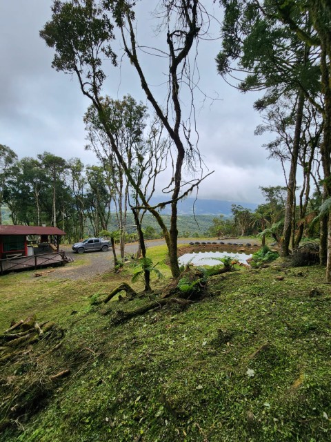 Terreno com Casa