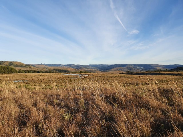 Fazenda