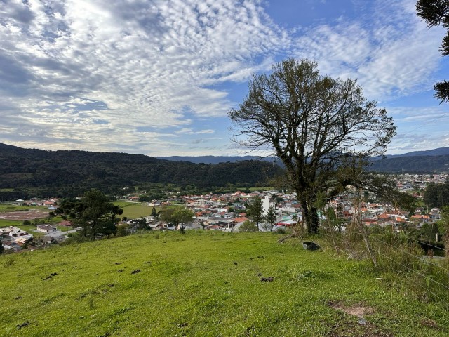 Terreno 