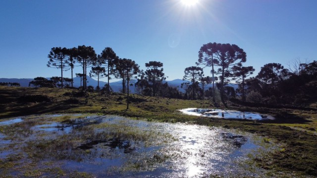 Fazenda